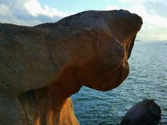 -那琴半岛地质海洋公园