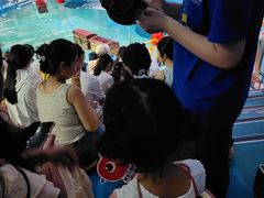 -烟台海昌鲸鲨海洋公园