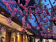 -老灶房-四川土菜(铁牛广场店)