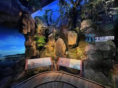 -威海华夏城景区