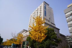 -杭州复旦儿童医院·语言发育迟缓·自闭症干预·注意力训练