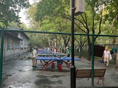 -莲花池公园