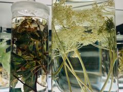-北京中医药大学-中医药博物馆