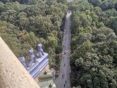 -灵谷景区