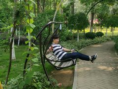 -合肥滨湖国家森林公园