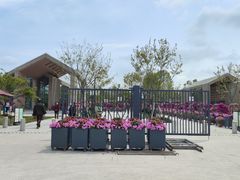 -上海植物园-4号门售票处