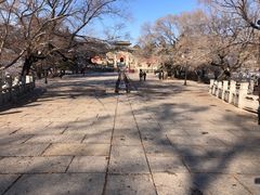 -北陵公园