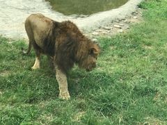 -西安秦岭野生动物园
