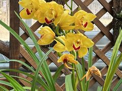 -国家植物园南园