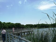 景点-美兰湖景区