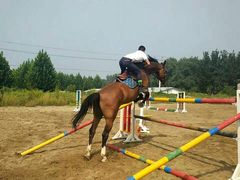 -月河湾马术俱乐部(朝阳店)