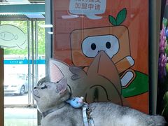 -美联众合动物医院·24h转诊中心