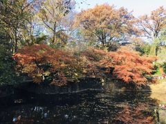 -虞山风景区