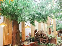 -大理董·董家小厨野生菌火锅(古城旗舰店)