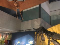 -湖南省地质博物馆