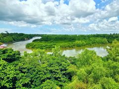 -东寨港红树林旅游区