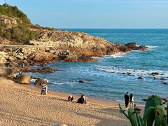 -广东惠东海龟国家级自然保护区