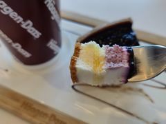 -哈根达斯(天河城店)
