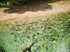 -西岭雪山大飞水景区