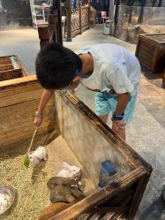 -酷嗒动物文化乐园(cutezoo西溪乐天城店)