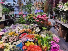 -双季花艺园艺市场(浦东店)