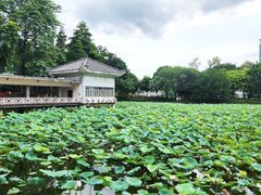 -荔湾湖公园