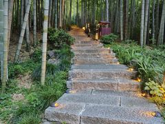 -杭州黄龙洞
