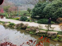 -中国茶叶博物馆(双峰馆区)