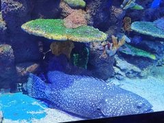 -石林冰雪海洋世界