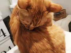 -Tempo Coffee(市二宮店)