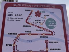 -桃花堤公园