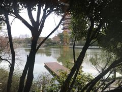 -听松楼·花园酒店·自助餐厅(红梅公园店)