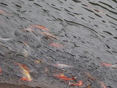 -滴水岩森林公园