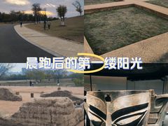 -盘龙城国家考古遗址公园