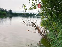 -翠湖国家城市湿地公园