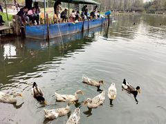 -白塘生态植物园