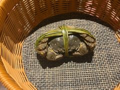 -成隆行·蟹王府(九江路店)