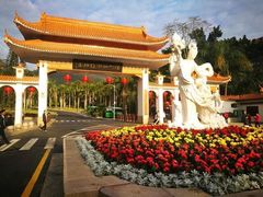 -深圳仙湖植物园