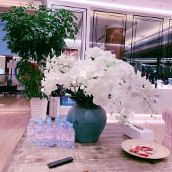 -In Style造型