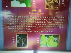 -上海昆虫博物馆