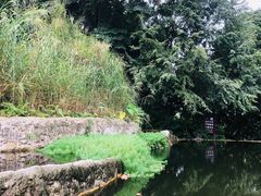 -成都市活水公园