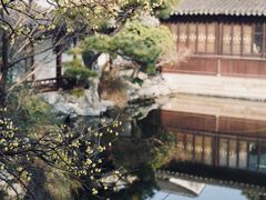 -艺圃