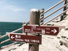-伊豆观海列车