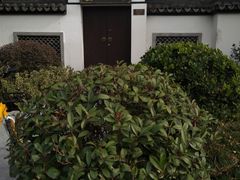 -临安城遗址(太庙遗址)