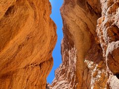 -天山神秘大峡谷