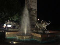 -清迈夜间动物园