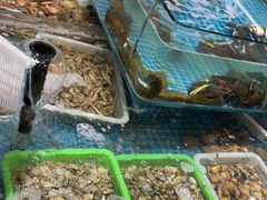 -和源祥·日照菜扛把子(万平口一店)