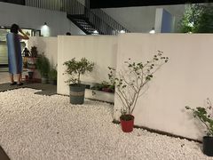 -大隐国际青年旅舍(上海陆家嘴东方明珠店)