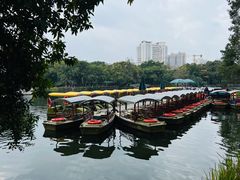 -荔湾湖公园