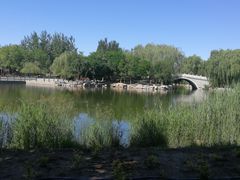 -大兴滨河森林公园